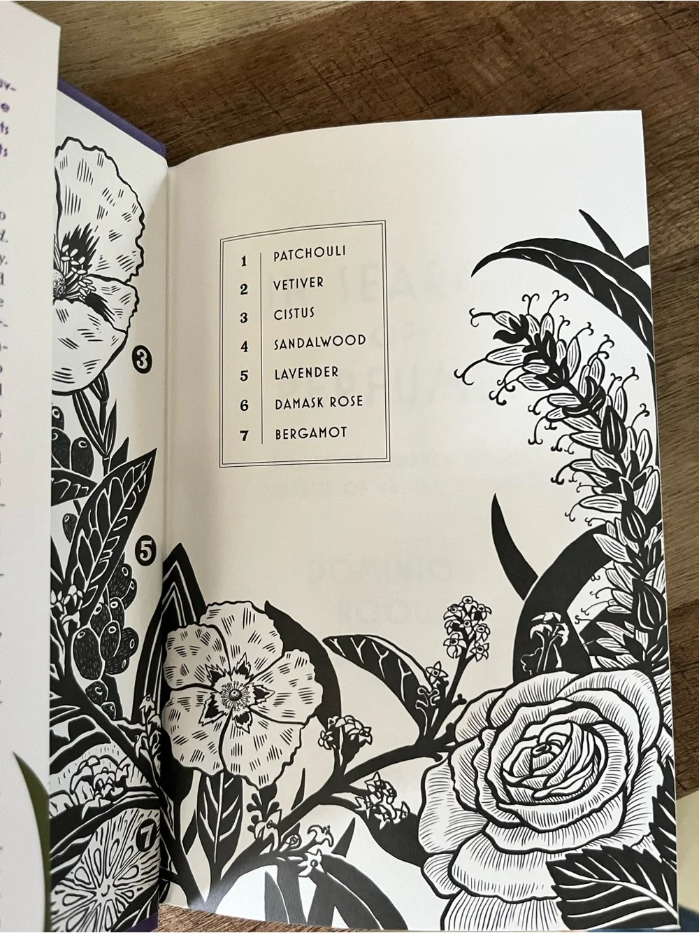 NEW In Search of Perfumes Hardcover Book Dominique Roques